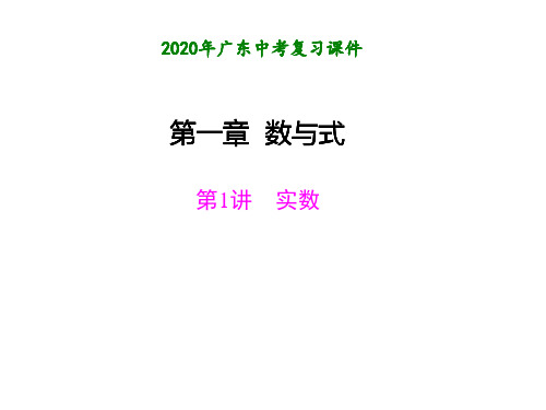 2020年广东中考数学专题复习：第一章数与式1