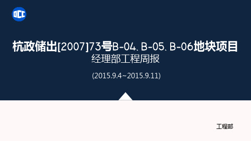 项目管理部工程周报