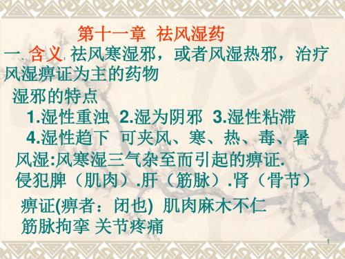10 祛风湿药