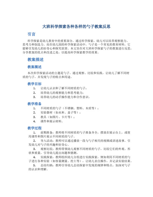 大班科学探索各种各样的勺子教案反思