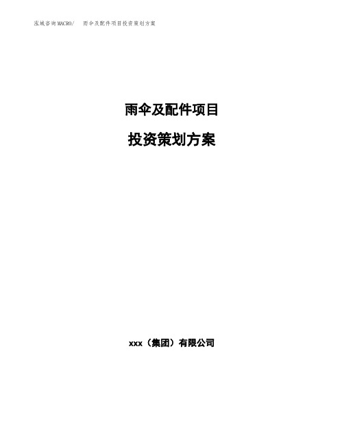 雨伞及配件项目投资策划方案范文