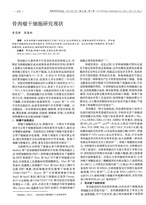 骨肉瘤干细胞研究现状