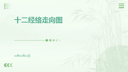 十二经络走向图