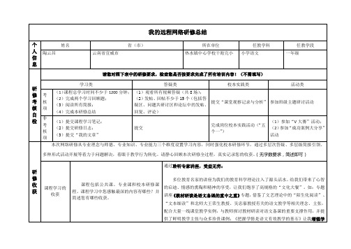 2013年国培网络研修总结模版(通用版)(8.20)1