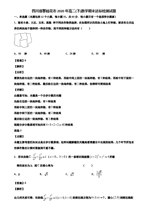 四川省攀枝花市2020年高二(下)数学期末达标检测试题含解析