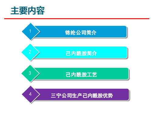 己内酰胺工艺精简ppt课件