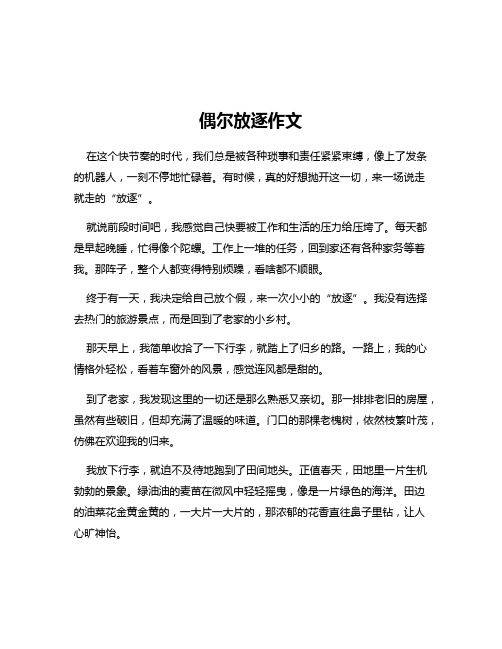 偶尔放逐作文