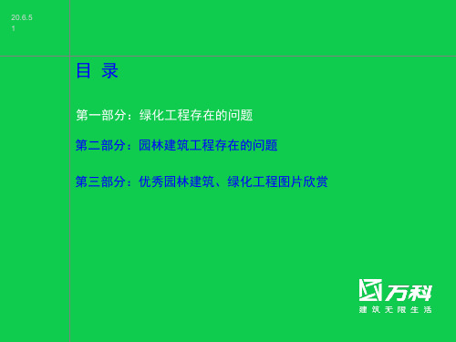 园林绿化常见问题及案例图片200页PPT