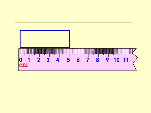 认识米和用米量PPT
