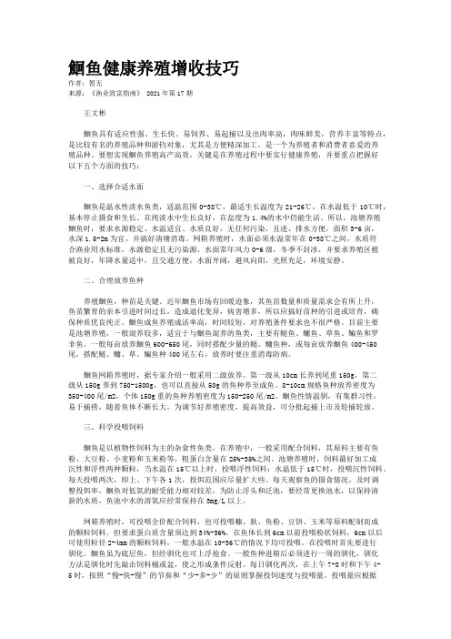 鮰鱼健康养殖增收技巧