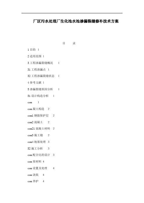 厂区污水处理厂生化池水池渗漏裂缝修补技术方案