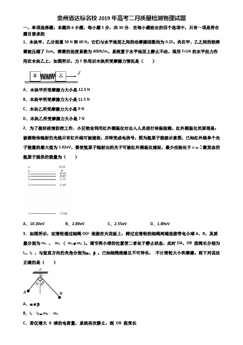 贵州省达标名校2019年高考二月质量检测物理试题含解析