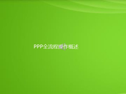 PPP全流程操作概述PPT