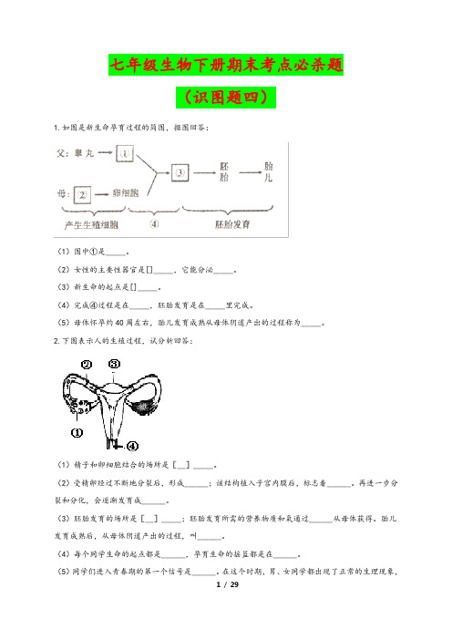 (人教版)最新七年级生物下学期期末考点必杀题:识图题四(含答案解析)