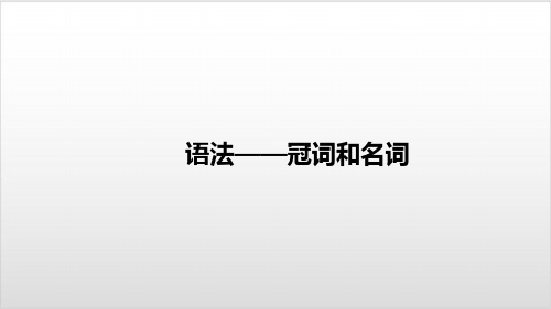 中考复习英语一轮复习基础——冠词和名词PPT优秀课件