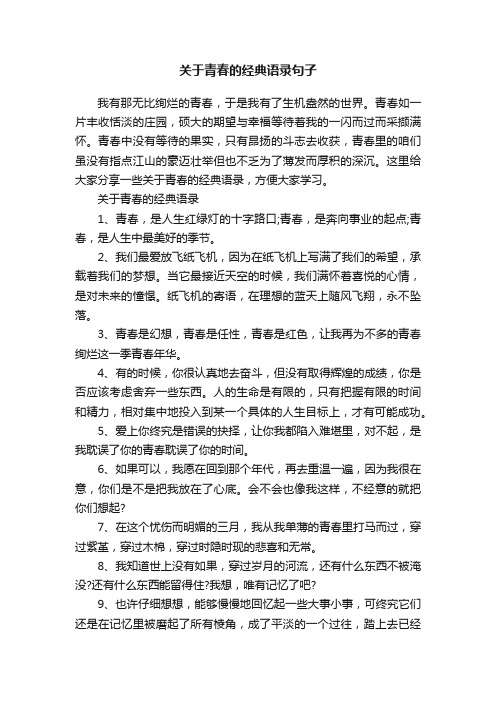 关于青春的经典语录句子