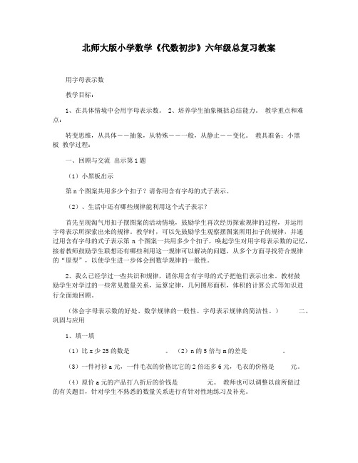 北师大版小学数学《代数初步》六年级总复习教案