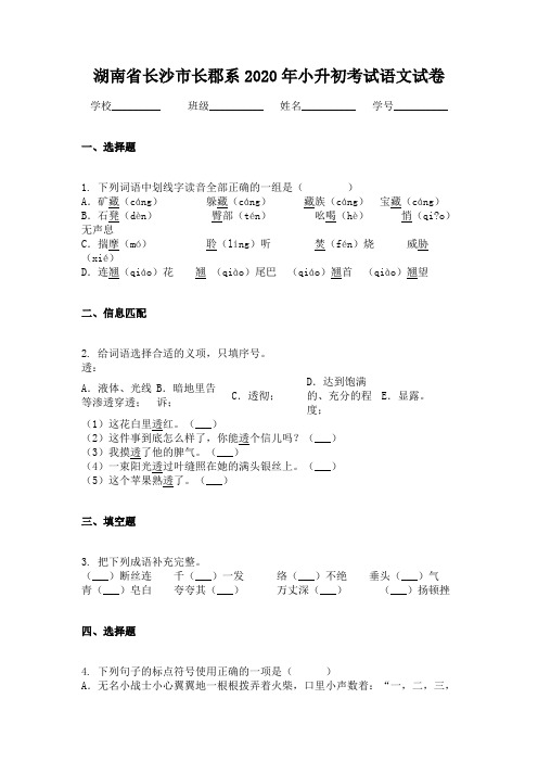 湖南省长沙市长郡系2020年小升初考试语文试卷