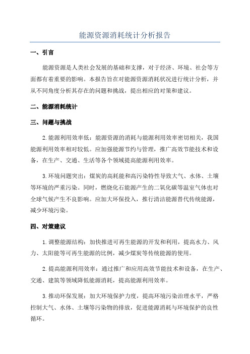 能源资源消耗统计分析报告