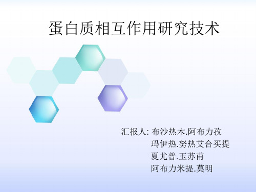 经典:蛋白质相互作用技术研究的几种技术
