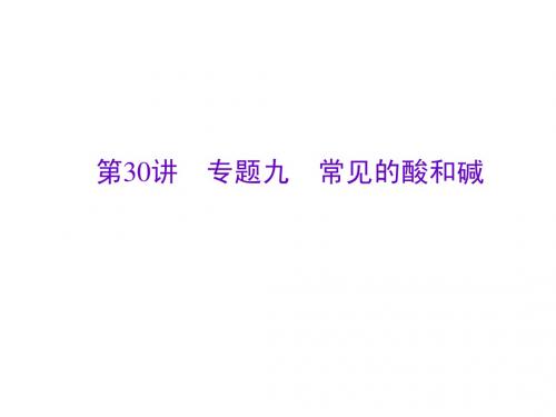 第30讲 专题九 常见的酸和碱