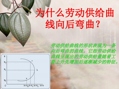 劳动供给曲线1