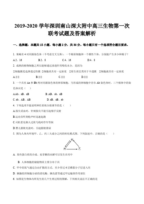 2019-2020学年深圳南山深大附中高三生物第一次联考试题及答案解析