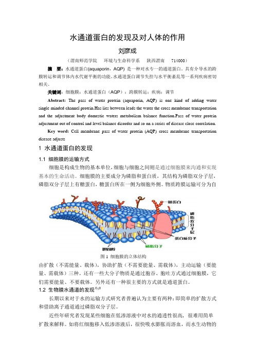 水通道蛋白的发现及对人体的作用