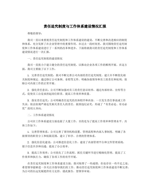 责任追究制度与工作体系建设情况汇报