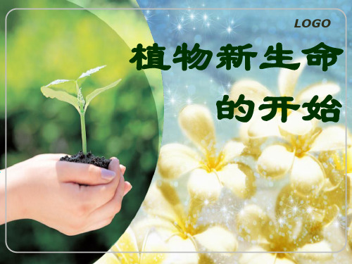 《植物新生命的开始》植物的生长变化PPT课件