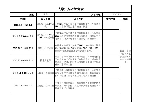 大学生见习计划表