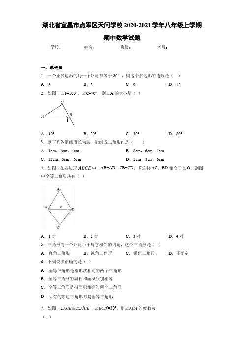 湖北省宜昌市点军区天问学校2020-2021学年八年级上学期期中数学试题