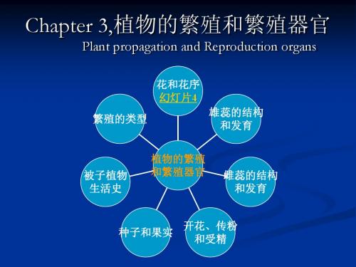 植物的繁殖