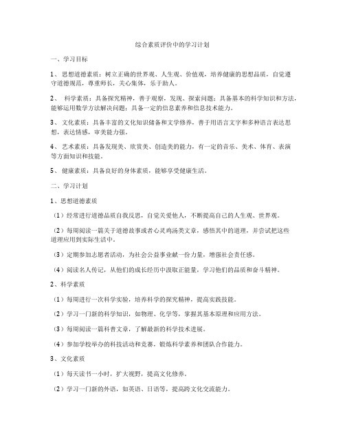 综合素质评价中的学习计划