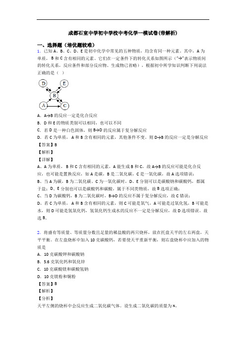 成都石室中学初中学校中考化学一模试卷(带解析)