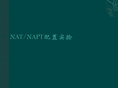 NAT NAPT配置实验