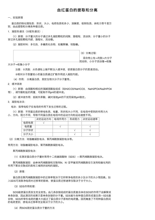 血红蛋白的提取和分离