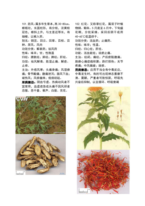 175种常用中药大全100-130