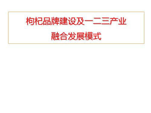 枸杞品牌建设及一二三产融合发展