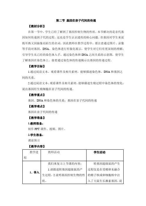 人教版生物八年级下册7.2.2《基因在亲子代间的传递》 教案