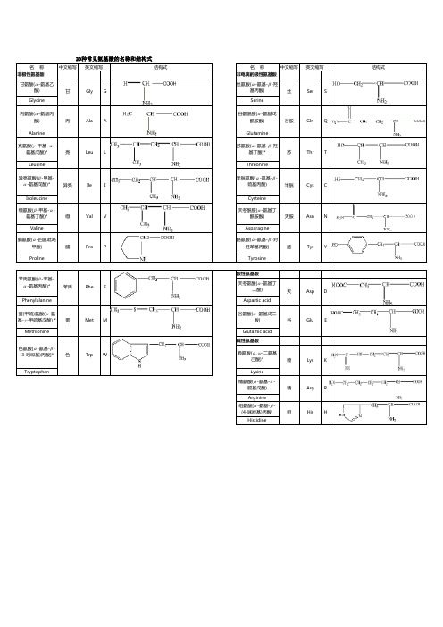 20种必须氨基酸(表格,A4大小)