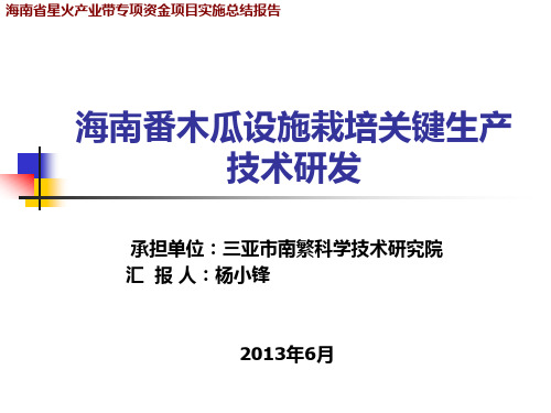 XXXX02海南番木瓜设施栽培技术示范与推广