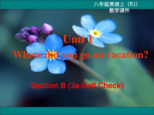 人版初中英语八年级(上册)第一单元SectionB(3a_SC)教学课件