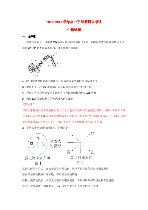 山西省怀仁县2016-2017学年高一生物下学期期末考试试题(含解析)