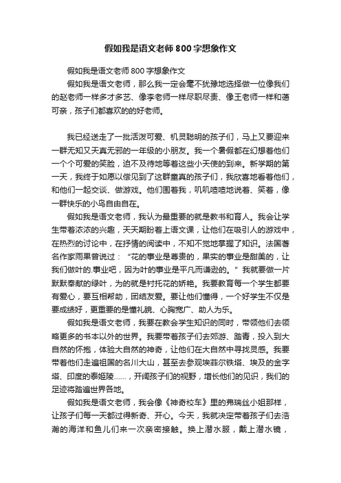 假如我是语文老师800字想象作文