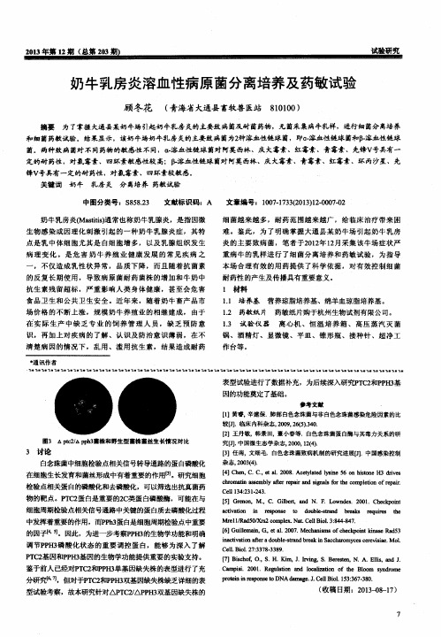 奶牛乳房炎溶血性病原菌分离培养及药敏试验