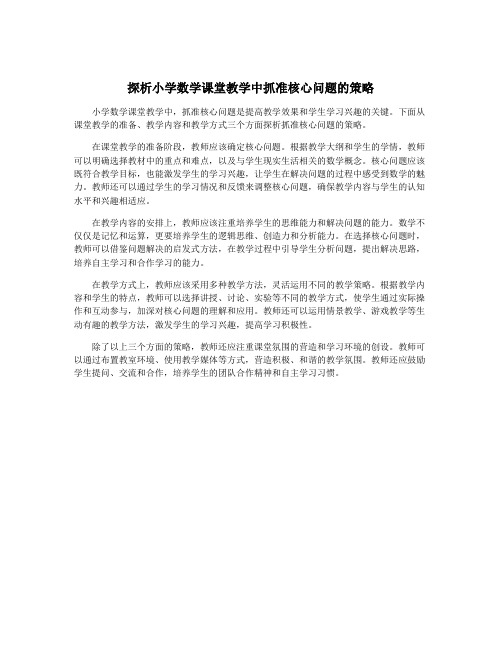 探析小学数学课堂教学中抓准核心问题的策略