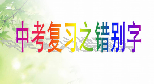 最新精心整理中考语文字音、错别字复习课件 (共114张PPT)