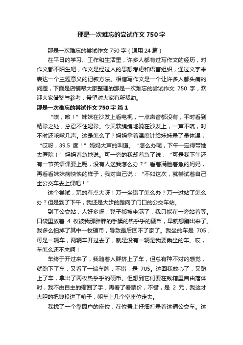 那是一次难忘的尝试作文750字