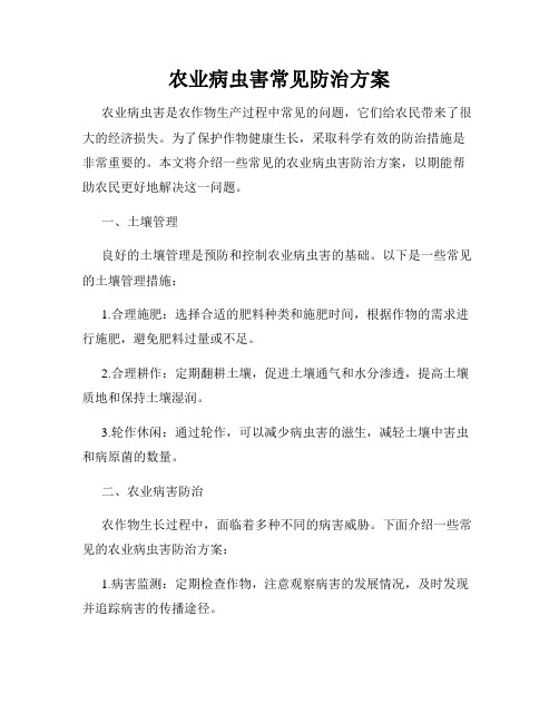 农业病虫害常见防治方案